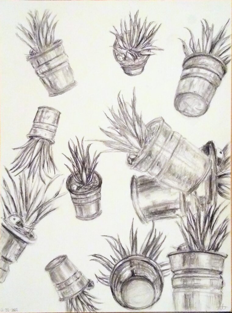 11 sketches of an aloe plant in a pot.
